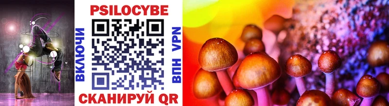 где купить   блэк спрут вход  Псилоцибиновые грибы Psilocybe  Калуга 