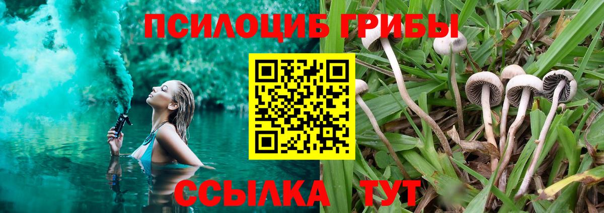 магазин продажи наркотиков  Галлюциногенные грибы прущие грибы  Вход с VPN  Калуга 